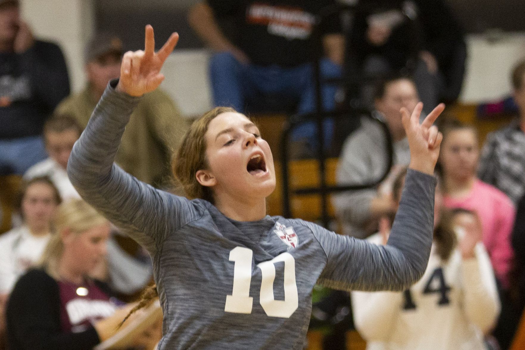 Class 1A Raymond Lincolnwood Sectional semifinal